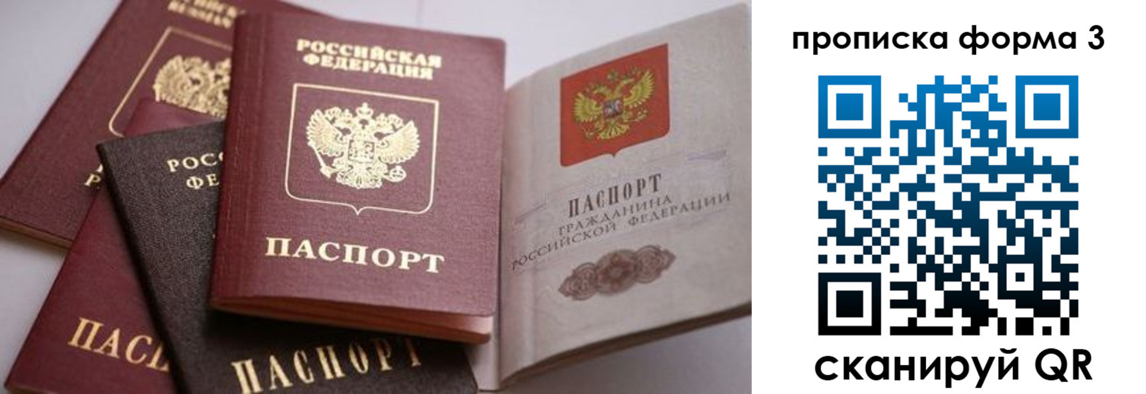 прописка для школы в Алексеевке