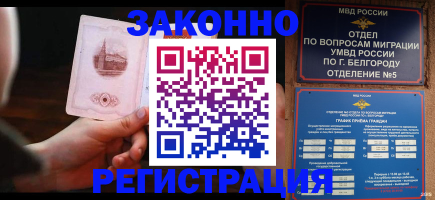 прописка 2025 в Алексеевке